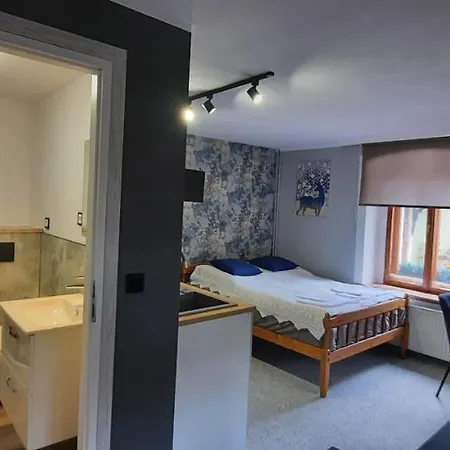 Michalowka Apartment *